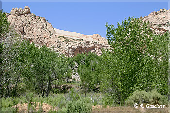 Lower Hackberry Canyon